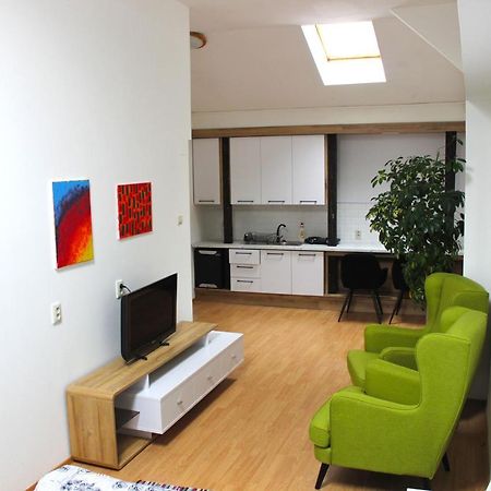 Krasny Priestranny Slnecny Apartman V Centre Mesta Trenčín Kültér fotó