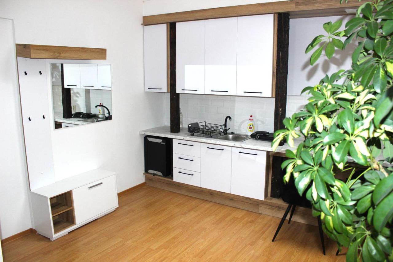 Krasny Priestranny Slnecny Apartman V Centre Mesta Trenčín Kültér fotó