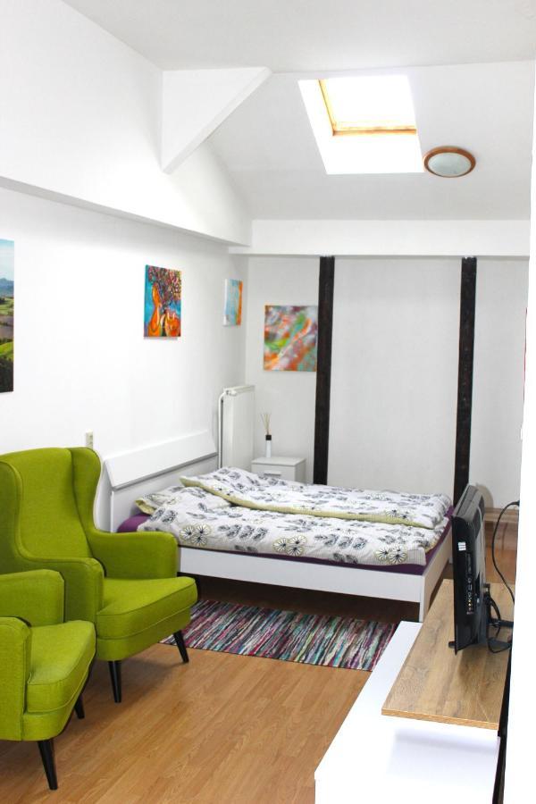 Krasny Priestranny Slnecny Apartman V Centre Mesta Trenčín Kültér fotó