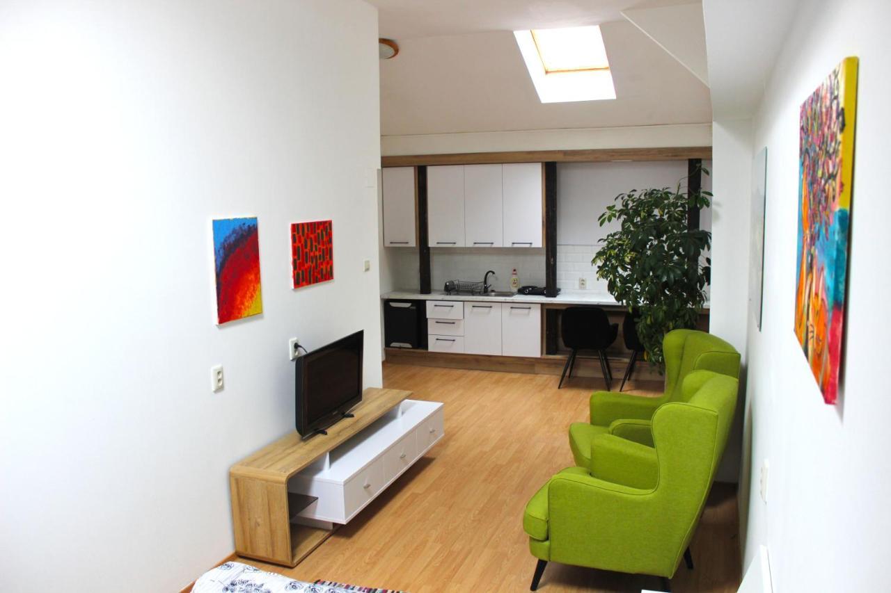 Krasny Priestranny Slnecny Apartman V Centre Mesta Trenčín Kültér fotó